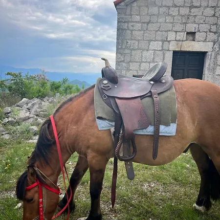 And Horseback Riding Parci