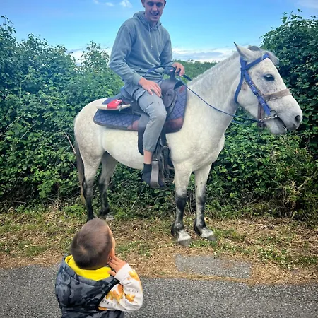 Campsite And Horseback Riding Parci Podgorica