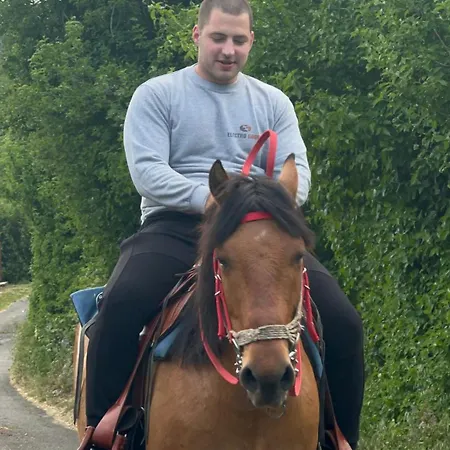 And Horseback Riding Parci * Podgorica