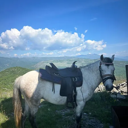 And Horseback Riding Parci