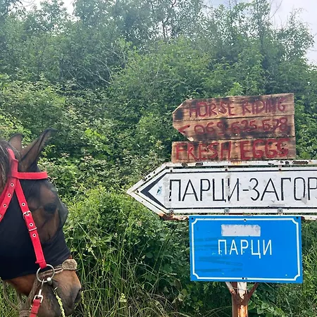Campsite And Horseback Riding Parci