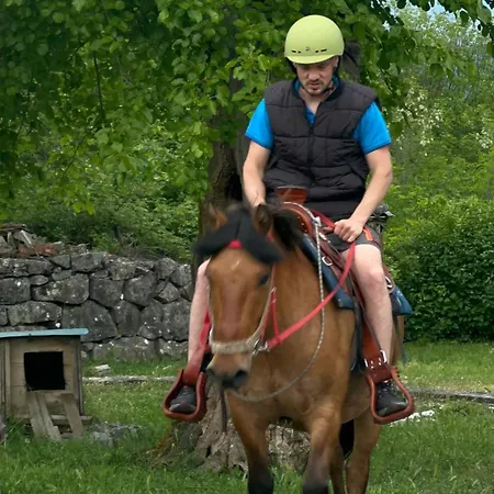 Campsite And Horseback Riding Parci *