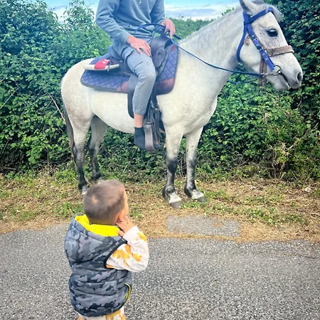 And Horseback Riding Parci Podgorica