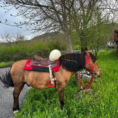 And Horseback Riding Parci
