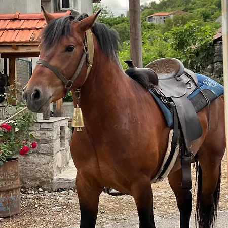 And Horseback Riding Parci Campsite *