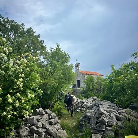 Campsite And Horseback Riding Parci