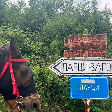 And Horseback Riding Parci * Podgorica