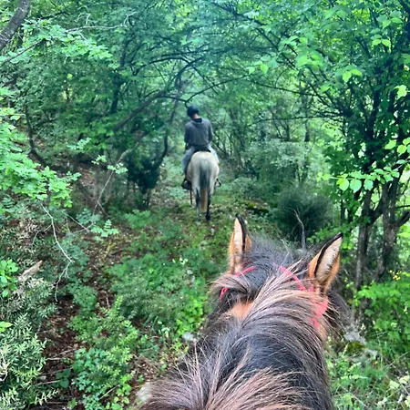 And Horseback Riding Parci Campsite