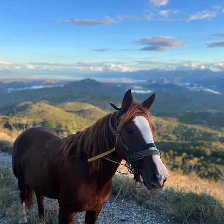 Campsite And Horseback Riding Parci *