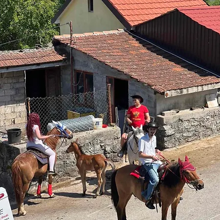 And Horseback Riding Parci