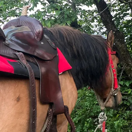 And Horseback Riding Parci Podgorica