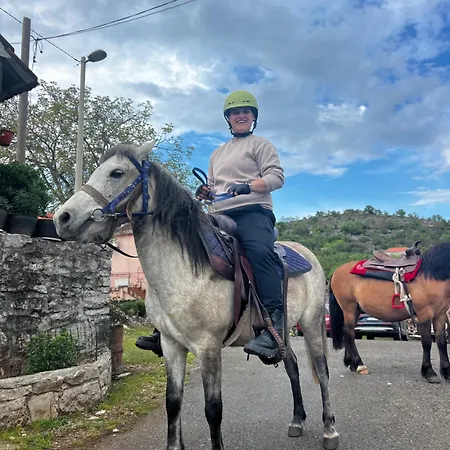 אתר קמפינג And Horseback Riding Parci