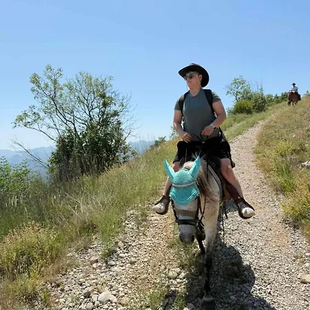 And Horseback Riding Parci * Podgorica